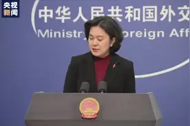 外交部：想黑中国也请用点脑子！视频封面