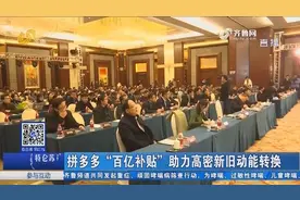 把贴牌加工变成品牌生产，拼多多“百亿补贴”，助力高密企业成长视频封面