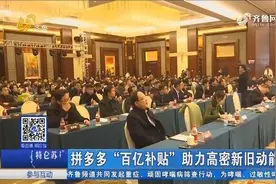 把贴牌加工变成品牌生产，拼多多“百亿补贴”，助力高密企业成长视频封面