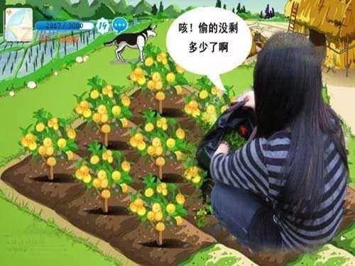 网页游戏兴衰史：「农场」没有菜，「渣渣辉」不贪玩