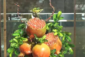 国内外顶尖玻璃艺术家齐聚河北河间 共谋玻璃艺术创新发展视频封面