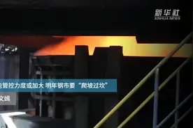 新增产能管控力度或加大 明年钢市要“爬坡过坎”视频封面