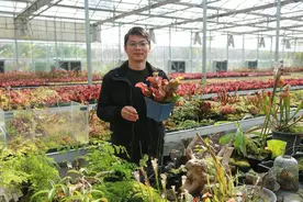 1000多种食虫植物 课本上看到过的这里全都有图片