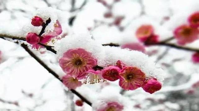 得之坦然，失之淡然，顺其自然