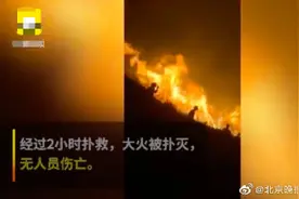 情侣放烟花拍照引起山火，拘留15天！必须让任性者付出代价图片