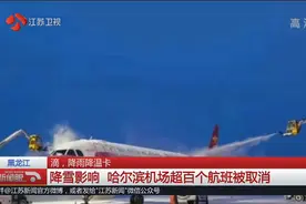 降雨致道路打滑，河南连霍高速连发车祸，5人翻护栏坠桥身亡！视频封面