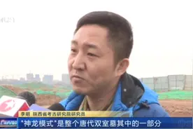 唐朝太平公主驸马薛绍墓在陕西被发现，却是被毁的墓，谁干的？视频封面