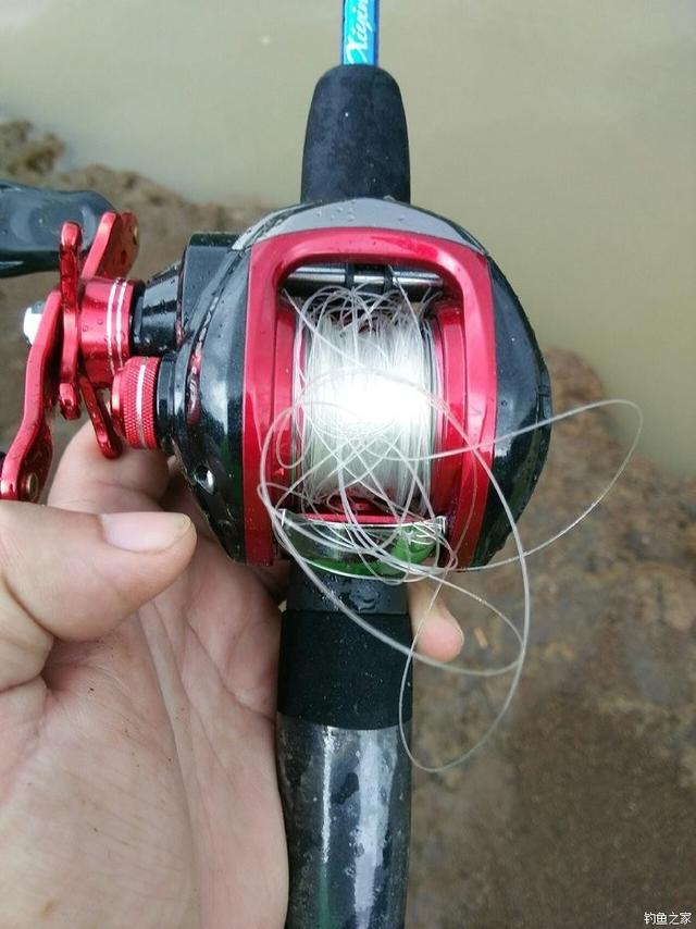 路亚枪柄和直柄的区别，直柄和枪柄的区别（路亚新人避坑指南第二期）