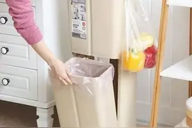 家用垃圾桶“单缸”变“双缸”图片