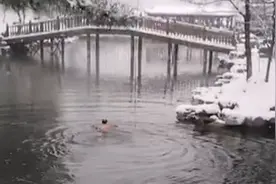 78岁大爷在河北承德避暑山庄冬泳？景区回应：男子年票永久拉黑