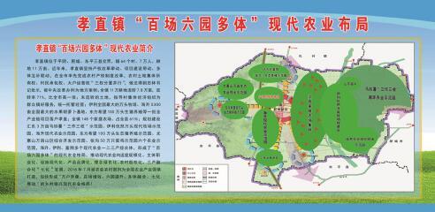 合村并点，四体联建——平阴县孝直镇全域优化村级建制纵深推进