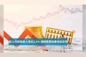 前11月财政收入增长3.8%  减税降费效果持续显现视频封面