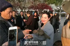 亲密！杭州大伯养的三只松鼠，出了笼子也不会逃，还会保护主人图片