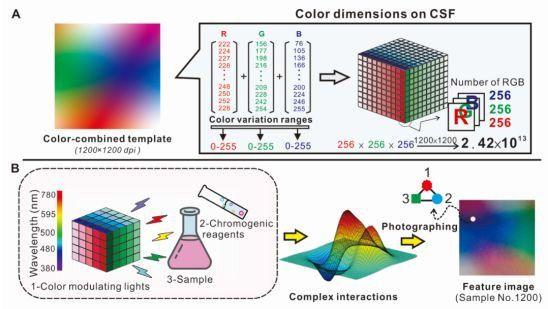 机器学习让氨基酸分析不再费时费力