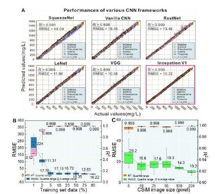 机器学习让氨基酸分析不再费时费力