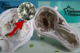 这些婴儿用品，很容易被细菌“盯上”，尤其第一种，比抹布还脏图片