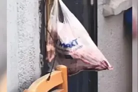流浪猫被轧死，大爷剥皮带回家吃掉还怼喂养者：猪肉你为什么吃？图片