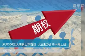 沪深300三大期权上市首日 认沽主力合约大幅上扬视频封面