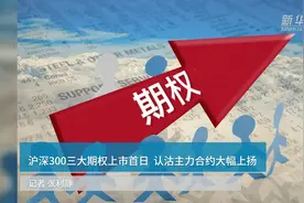 沪深300三大期权上市首日 认沽主力合约大幅上扬视频封面