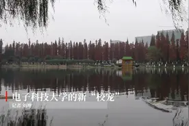 电子科技大学的新“校宠”视频封面