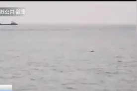 罕见！南通江面再现“水中大熊猫”，摄影爱好者记录美妙瞬间视频封面