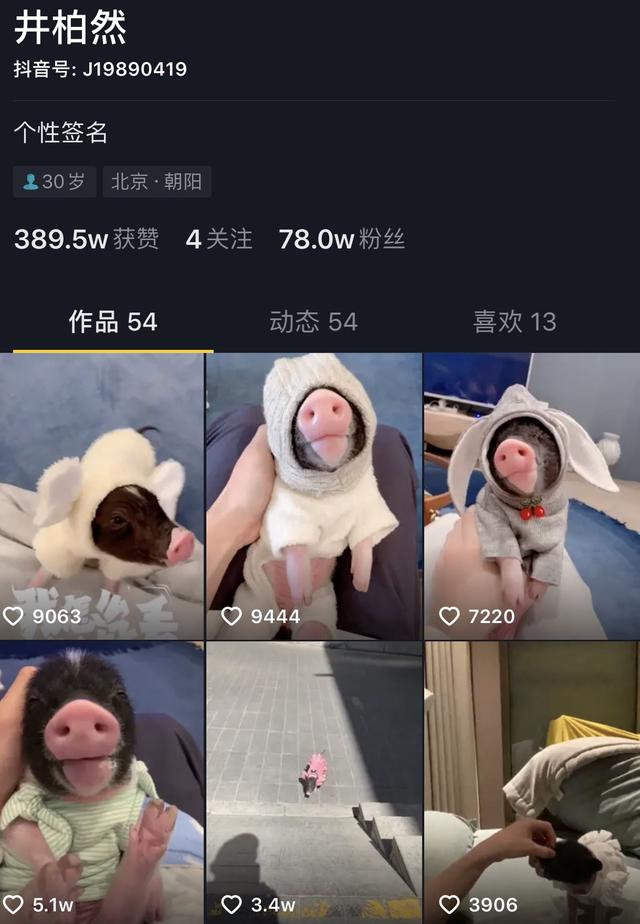 2019，“拔草”这件小事