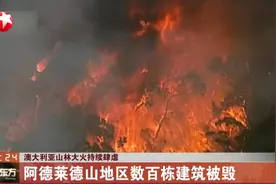 澳大利亚山林大火持续肆虐：阿德莱德山地区大量建筑、农田被毁视频封面