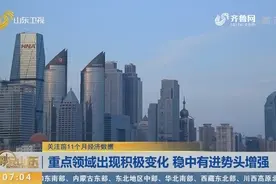省统计局发布前11个经济运行数据，山东经济稳中有进势头持续增强视频封面