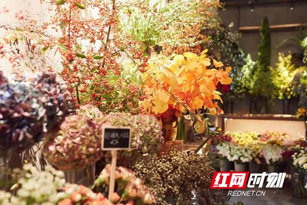 美人鱼梦幻沙龙（与美人鱼梦幻奇遇 一波年末消费大餐来袭）