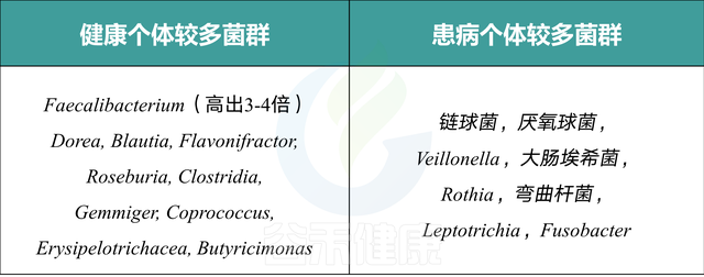 你吃的膳食纤维对你有帮助吗