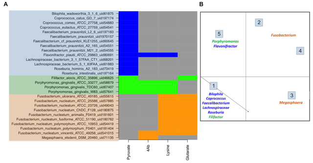 你吃的膳食纤维对你有帮助吗
