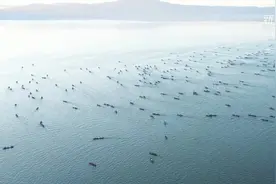 云南星云湖冬捕 场面壮观视频封面