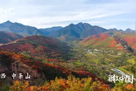 瞰中国|“柿柿”如意 风景如画的中条山视频封面