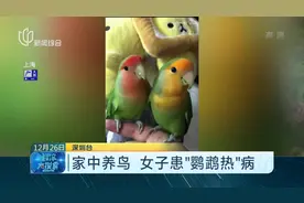家中养鸟，37岁女子不慎患“鹦鹉热”病，一度病情十分危重！视频封面