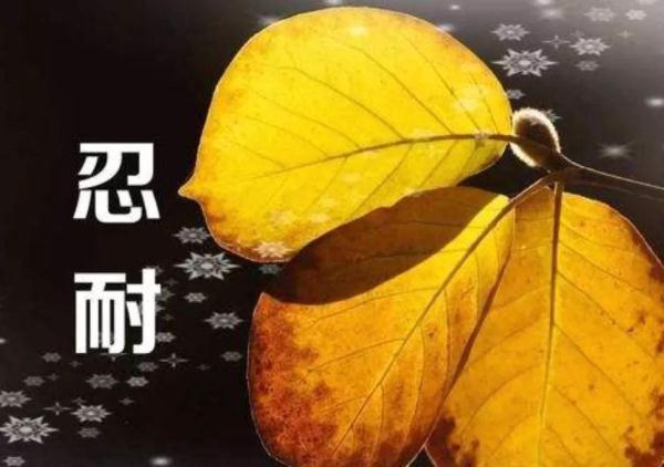 当孩子被欺负了，该教孩子“还击”还是“隐忍”？