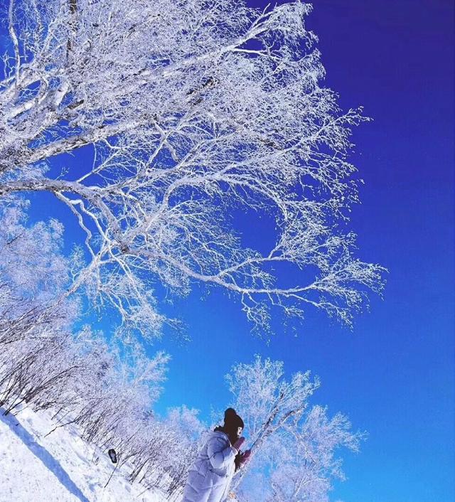 我的小镇王国全世界（全球十大赏雪胜地）