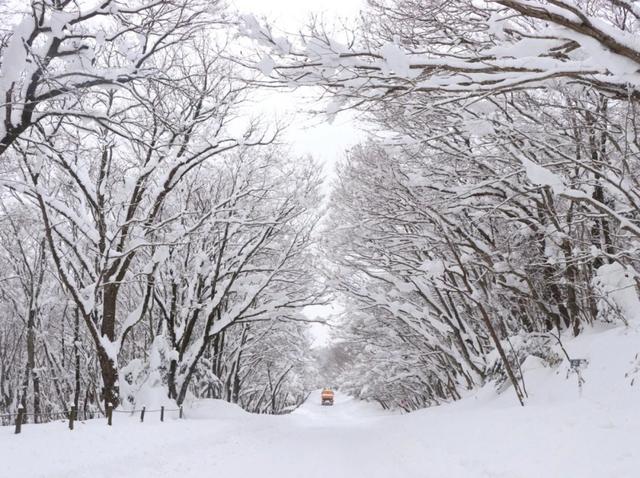 全球十大赏雪胜地，一年去一个，安排