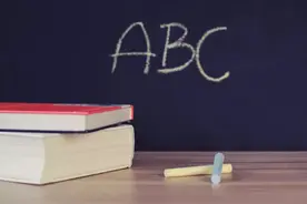 伴鱼向左 VIPKID向右图片