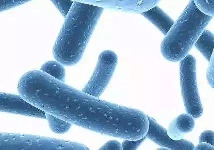 鍚缁欒倢鑲ゅ悆涓€鍙ｂ€滃崄鍏ㄥぇ琛モ€濋潰鑶滐紝鍐嶅樊鐨勭毊閮芥晳鍥炴潵锛佽瘯浜嗕竴涓嬶紝鐪熺浉鏄€︹€? onerror=