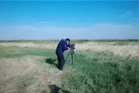 致敬守护候鸟的平凡英雄图片