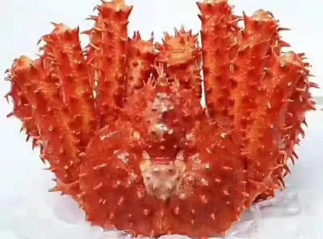 深海鲽鱼多少钱一斤 2026年鲽鱼尽量少吃的原因