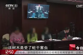 今日说法：大风吹断树枝砸死了人，这责任算谁的？此事法律有规定视频封面