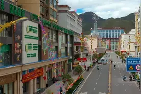 这样养羊才科学｜天津专家助力西藏昌都羊产业视频封面