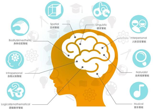 59元玩出N种花样的益智积木，轻松培养认知、空间、动手力