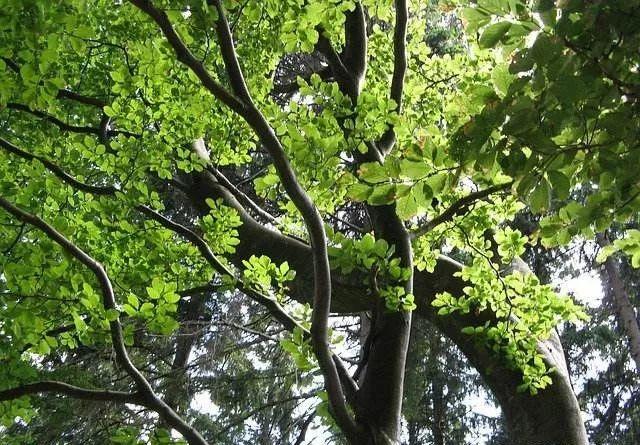 59元玩出N种花样的益智积木，轻松培养认知、空间、动手力