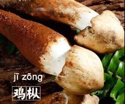 这些字，你念错了吗？