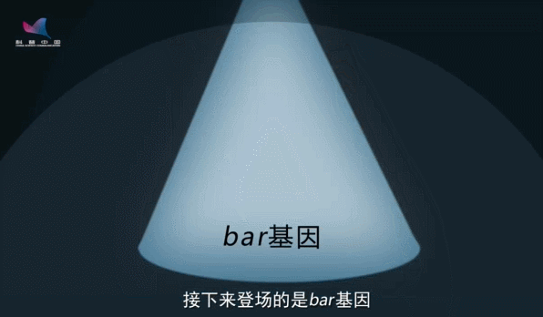 抗除草剂基因让“锄禾日当午”成为过去？