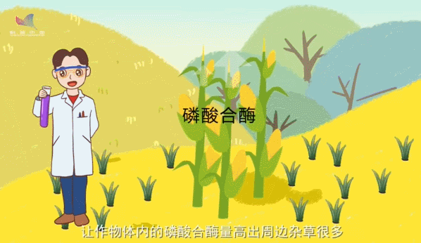 抗除草剂基因让“锄禾日当午”成为过去？