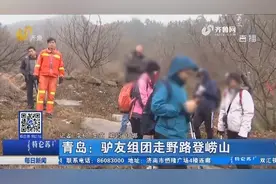 驴友组团走野路登崂山，被景区执法大队逮正着，组织者被罚2000元视频封面