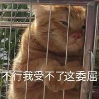 我是量子，2020年大家能不能放我一马